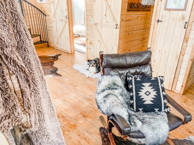 Pet friendly cabin rentals in Colorado