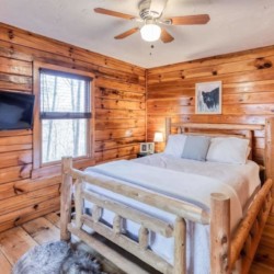 mineral bluff cabin rentals