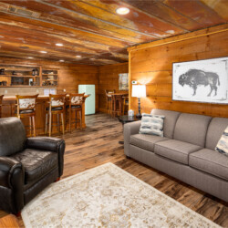 large group cabin rentals in georgia
