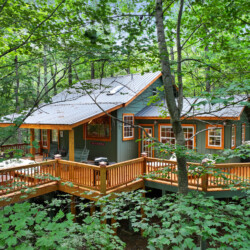 treehouse cabin blue ridge ga