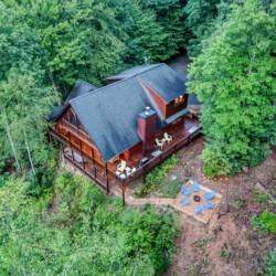 pet friendly aska adventure area cabin rentals