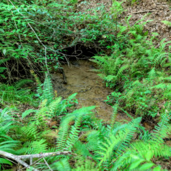 mineral bluff cabin with hot tub and mountain views