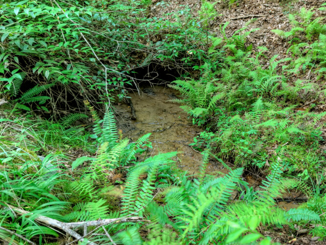 mineral bluff cabin with hot tub and mountain views